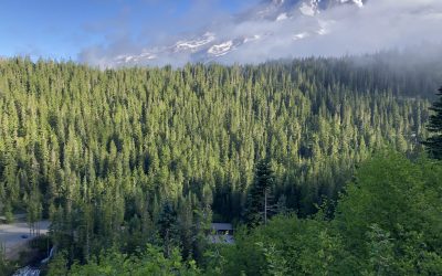 God, Mount Rainier and Us